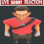 live scout reaction