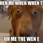 Scare Doggo | WHEN ME WHEN WHEN THE; UH ME THE WEN E | image tagged in scare doggo | made w/ Imgflip meme maker