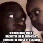Bro | MY BROTHERS WHEN I BREAK THE LEAST IMPORTANT THING IN THE HOUSE BY ACCIDENT | image tagged in gifs,funny memes | made w/ Imgflip video-to-gif maker