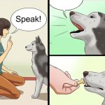 WikiHow Dog Speaking template