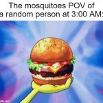 those sneaky mosquitoes | The mosquitoes POV of a random person at 3:00 AM: | image tagged in krabby patty | made w/ Imgflip meme maker