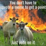 I feel so evil | You don't have to upvote a meme to get a point; Just vote on it | image tagged in memes,upvotes,imgflip points,evil,life hack,beating the system | made w/ Imgflip meme maker