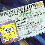 Spongebob Squarepants' Driver License