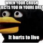 Bruh | WHEN YOUR CRUSH REJECTS YOU IN YOURE DREAM | image tagged in it hurts to live | made w/ Imgflip meme maker