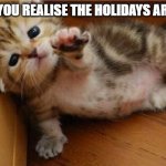 don't leave meeee | WHEN YOU REALIZE THE HOLIDAYS ARE OVER | image tagged in please help | made w/ Imgflip meme maker