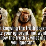 Lack of Knowledge | Not knowing the truth doesn’t 
make your ignorant, not wanting 
to know the truth is what makes 
you ignorant. | image tagged in monkey version of see no evil hear no evil speak no evil,truth,oblivious | made w/ Imgflip meme maker
