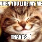 Happy Kitten | ME WHEN YOU LIKE MY MEMES; THANKS : ] | image tagged in happy kitten | made w/ Imgflip meme maker