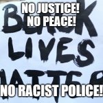 Bruce BLM | NO JUSTICE! 
NO PEACE! NO RACIST POLICE! | image tagged in bruce blm | made w/ Imgflip meme maker