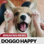 Doggo happy template