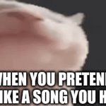 I never dfo screw fitting in | WHEN YOU PRETEND TO LIKE A SONG YOU HATE | image tagged in gifs,memes,funny | made w/ Imgflip video-to-gif maker