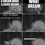 shut up brain i'm trying to sleep | YOU HAVE A DREAM:WHAT A GOOD DREAM; WHAT DREAM; BRAIN:NOOOOOOOO!! THE ONE I J... I DONT REMEMBER IMA STARE AT TIKTOK NOW | image tagged in shut up brain i'm trying to sleep | made w/ Imgflip meme maker