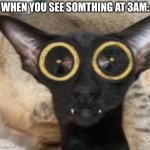 oh my god | WHEN YOU SEE SOMTHING AT 3AM: | image tagged in aaaaaaaaaaaa | made w/ Imgflip meme maker