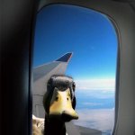 “GIVE ME MY MONEY!” | When your friend who owes you money decides to go on vacation during the summer: | image tagged in duck plane window,memes,funny,funny memes,summer,vacation | made w/ Imgflip meme maker