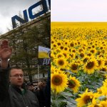 Russian nazi sunflower