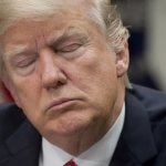 Trump asleep eyes closed old man's nap time meme