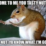 Super squirrel | COME TO ME YOU TASTY NUT!!! THE NUT: YA KNOW WHAT, I'M GOOD. | image tagged in super squirrel | made w/ Imgflip meme maker