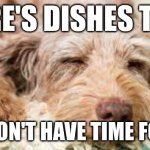 I don't have time for this | THERE'S DISHES TO DO; BUT I DON'T HAVE TIME FOR THIS | image tagged in i don't have time for this | made w/ Imgflip meme maker