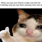 It's the best feeling, isn't it? | When you buy your friend a really cool shirt for their birthday and you see them wearing it the next day: | image tagged in sad cat thumbs up,birthday,cats,relatable memes | made w/ Imgflip meme maker