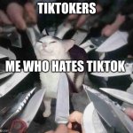 tiktok moment | TIKTOKERS; ME WHO HATES TIKTOK | image tagged in knife cat | made w/ Imgflip meme maker