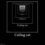 Ceiling cat