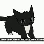 Maxwell.mov | WHEN YOU HAVE A MEME IDEA IN MIND BUT DON'T KNOW A GOOD TEMPATE FOR IT | image tagged in gifs,cats,memes,relatable | made w/ Imgflip video-to-gif maker