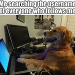 Thanks to each of my 28 followers :D | Me searching the username of everyone who follows me | image tagged in dog computer | made w/ Imgflip meme maker