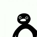 Penguin Death stare GIF Template