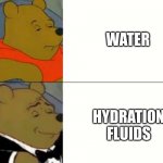 Fancy Winnie The Pooh Meme | WATER; HYDRATION FLUIDS | image tagged in fancy winnie the pooh meme | made w/ Imgflip meme maker