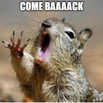 COME_BACK | COME BAAAACK | image tagged in squirrel screaming | made w/ Imgflip meme maker