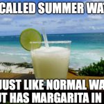 Margarita on the Beach | IT'S CALLED SUMMER WATER. IT'S JUST LIKE NORMAL WATER, 
BUT HAS MARGARITA IN IT. | image tagged in margarita on the beach | made w/ Imgflip meme maker