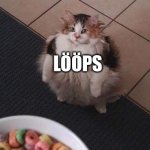 lups | LÖÖPS | image tagged in l ps,funny,fun,lol so funny,cat,cats | made w/ Imgflip meme maker