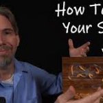 How to krill your shelf