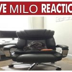 Live Milo reaction