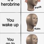 Your dead | You see someone in your Minecraft sever; It’s herobrine; You wake up; You go to the window; Herobrine is there | image tagged in kalm panik kalm kalm wait what panik | made w/ Imgflip meme maker