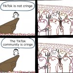 Just because there are a lot of cringe people, it doesn't mean you can just blame the whole | TikTok is not cringe; The TikTok community is cringe | image tagged in mad crowd happy crowd,memes,tiktok,cringe,apps,community | made w/ Imgflip meme maker