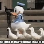 Followers on imgflip | I WISH I HAD AS MANY FOLLOWERS AS HE DOES. | image tagged in gifs,donald duck,followers | made w/ Imgflip video-to-gif maker