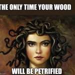 Medusa | THE ONLY TIME YOUR WOOD; WILL BE PETRIFIED | image tagged in medusa | made w/ Imgflip meme maker
