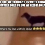 What's my blud waffling about | THE DOG: WATER FREEZES US WATER DROWNS US WATER BOILS US BUT WE NEED IT TO LIVE | image tagged in what's my blud waffling about | made w/ Imgflip meme maker