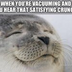 The piece of cereal I just vacuumed up goes CRUNCH CRUNCH CRUNCH | WHEN YOU’RE VACUUMING AND YOU HEAR THAT SATISFYING CRUNCH: | image tagged in happy seal,vacuum | made w/ Imgflip meme maker