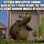 what has this website become | VETERAN IMGFLIPPERS COMING BACK AFTER 3 YEARS SEEING THE TOP IMAGES BEING RANDOM IMAGES OF VEGETABLES | image tagged in what is this place,imgflip,random | made w/ Imgflip meme maker
