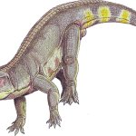 Fasolasuchus