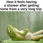 The vibe tho | How it feels having a shower after getting home from a very long trip : | image tagged in memes,funny,relatable,shower,relax frog,front page plz | made w/ Imgflip meme maker