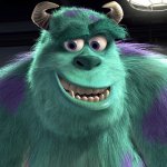 Sulley from Monsters Inc.