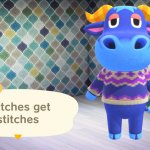 stu snitches get stitches