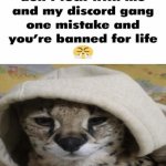 dont fuсk with me and my discord gang