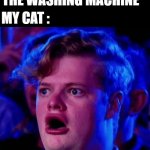 My cat's favorite show | ME : *TURN ON THE WASHING MACHINE*; MY CAT : | image tagged in surprised guy | made w/ Imgflip meme maker