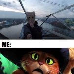 Puss in boots meme