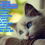 You Don't Have To Honor Parents That Have No Honor | You probably won't know it was happening until you're much, much older and can look back and see the games they played with your life; IF YOU'RE BEING GROOMED BY A PARENT, OR PARENTS | image tagged in memes,first world problems cat,bad parents,pedophiles,child abuse,real groomers | made w/ Imgflip meme maker