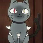 Anime cat template