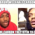 Hits blunt | BRUH, WE EXHALE CARBON; WE THE CARBON THEYTRYIN TO ERASE | image tagged in hits blunt | made w/ Imgflip meme maker